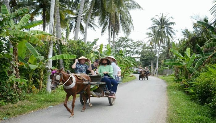 carroça de cavalo